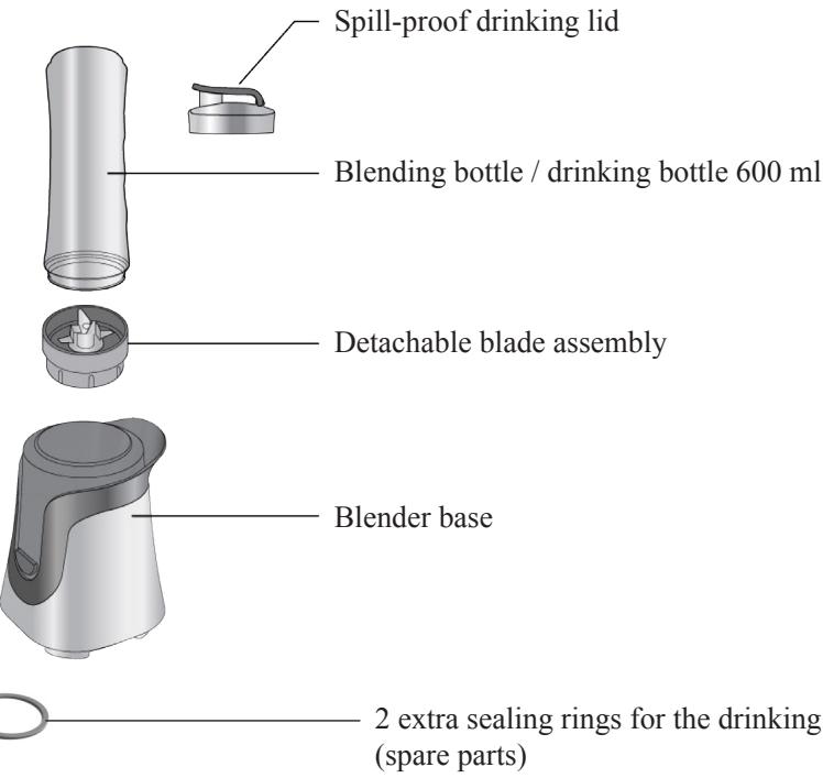 DOMO DO491BL - SAVE THESE INSTRUCTIONS FOR FUTURE REFERENCE - 1