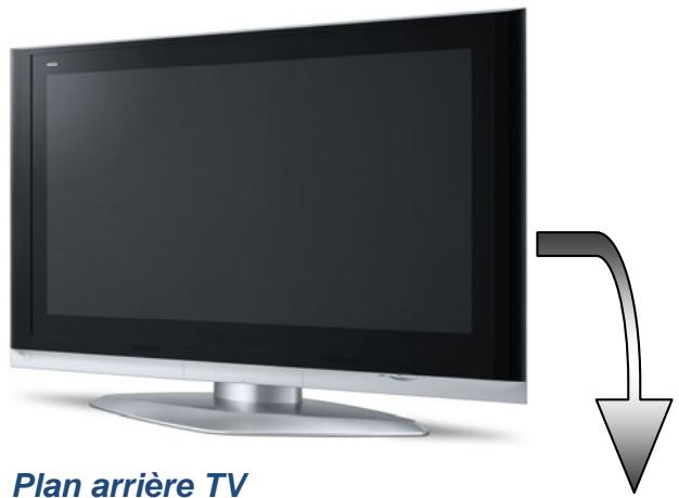 STOREX MEDIAZAPPER - Face arrière - 4