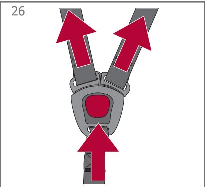 RED CASTLE RC - 19