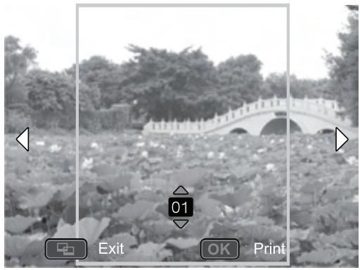 POLAROID Z2300 - Adding Polaroid Border - 1