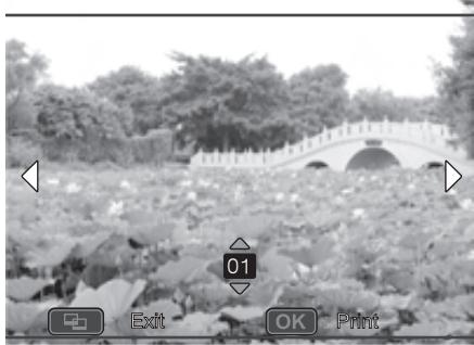 POLAROID Z2300 - Printing - 2