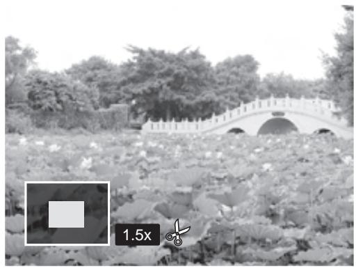 POLAROID Z2300 - Cropping Images - 1