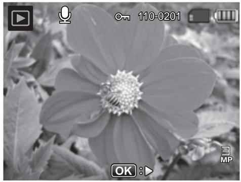 POLAROID Z2300 - Playing back voice memo - 1