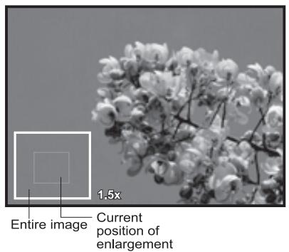 POLAROID Z2300 - Playback of Still Images - 2