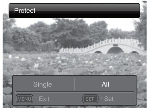 POLAROID Z2300 - Protecting Images - 2