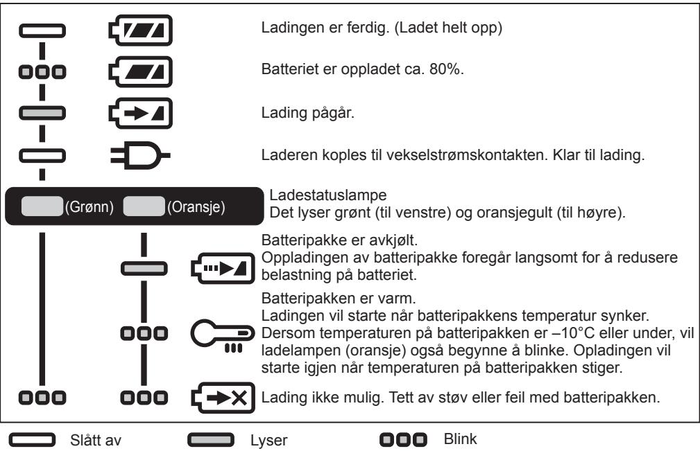PANASONIC EY45A5 - LAMPEINDIKATORER - 1