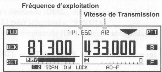 YAESU FTM-350AE - Utilisation de la DOUBLE AF - 2