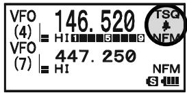 YAESU VX-8DR - CTCSS/DCS/EPCS BELL OPERATION - 3
