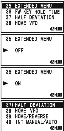 YAESU VX-8DR - MASKING THE SET MODE ITEMS - 1