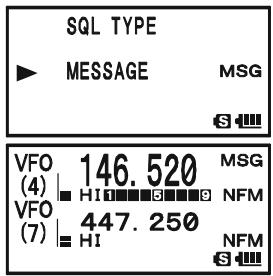 YAESU VX-8DR - RECEIVING AMESSAGE - 1