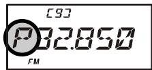YAESU VX6E - Activating the Enhanced Paging & Code Squelch System - 2