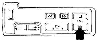SANYO VM-D6P - Still playback - 1