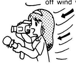 SANYO VM-D6P - - RECORDING IN A HIGH WIND - 2