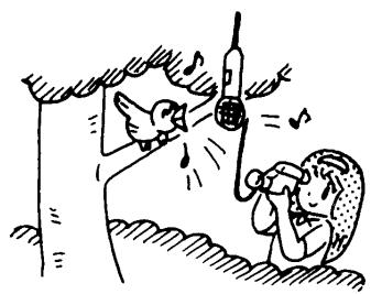 SANYO VM-D6P - - RECORDING DISTANT OBJECT - 1