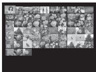 FUJI APPAREIL PHOTO A OBJECTIF INTERCHANGEABLE X-E1 NOIR 18-55MM - Lecture par planche d'images - 10