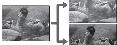 FUJI FINEPIX JX680 - Correction de l'exposition - 2