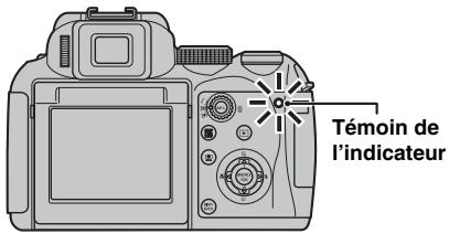 FUJI FINEPIX S1OO FS - ■ Affichage du témoin de l'indicateur - 1