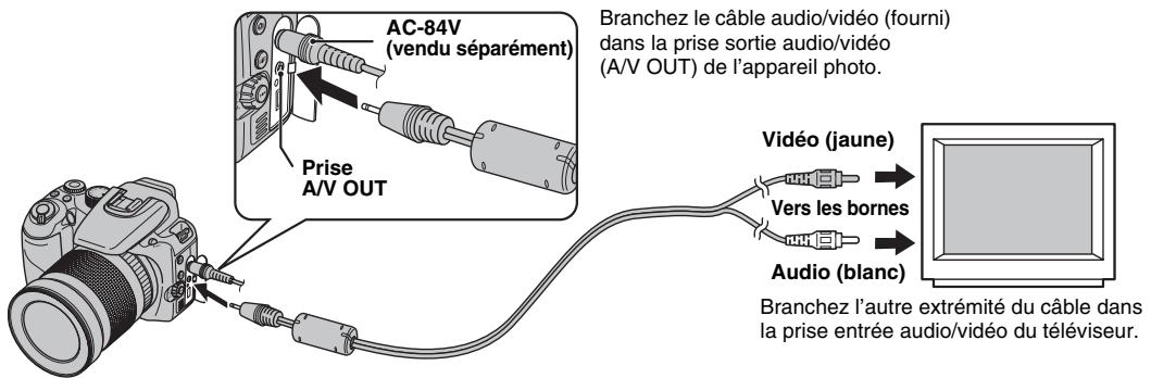 FUJI FINEPIX S1OO FS - Branchement sur un téléviseur - 1