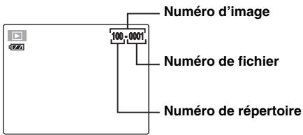 FUJI FINEPIX S1OO FS - VERIFICATION - 1
