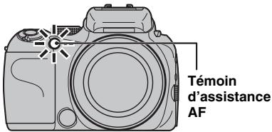 FUJI FINEPIX S1OO FS - Témoin d'assistance AF - 1