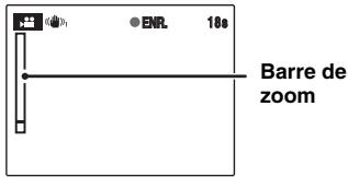 FUJI FINEPIX S1OO FS - Zoom sur l'image - 1