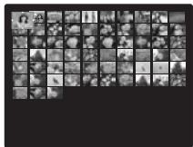 FUJI FINEPIX S1OO FS - Sélection de l'affichage à l'écran - 8