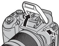 FUJI FINEPIX S1OO FS - MEMO - 1