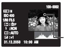 FUJI FINEPIX S1OO FS - ATTENTION - 1