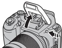 FUJI FINEPIX S1OO FS - VERIFICATION - 1