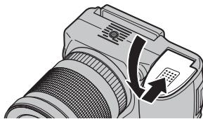 FUJI FINEPIX S1OO FS - Fermez le couvercle du compartment pour batterie. - 1