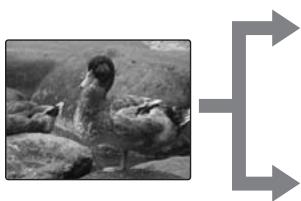 FUJI FINEPIX S1OO FS - VERIFICATION - 1