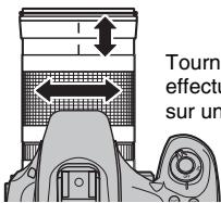 FUJI FINEPIX S1OO FS - Zoom sur l'image - 2