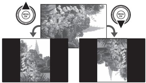 FUJI FINEPIX S8400 - ROTATION IMAGE - 3