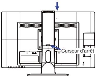 IIYAMA PROLITE E2483HS-B1 - ATTENTION - 1
