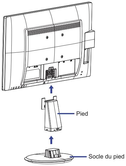IIYAMA PROLITE E2483HS-B1 - ATTENTION - 1