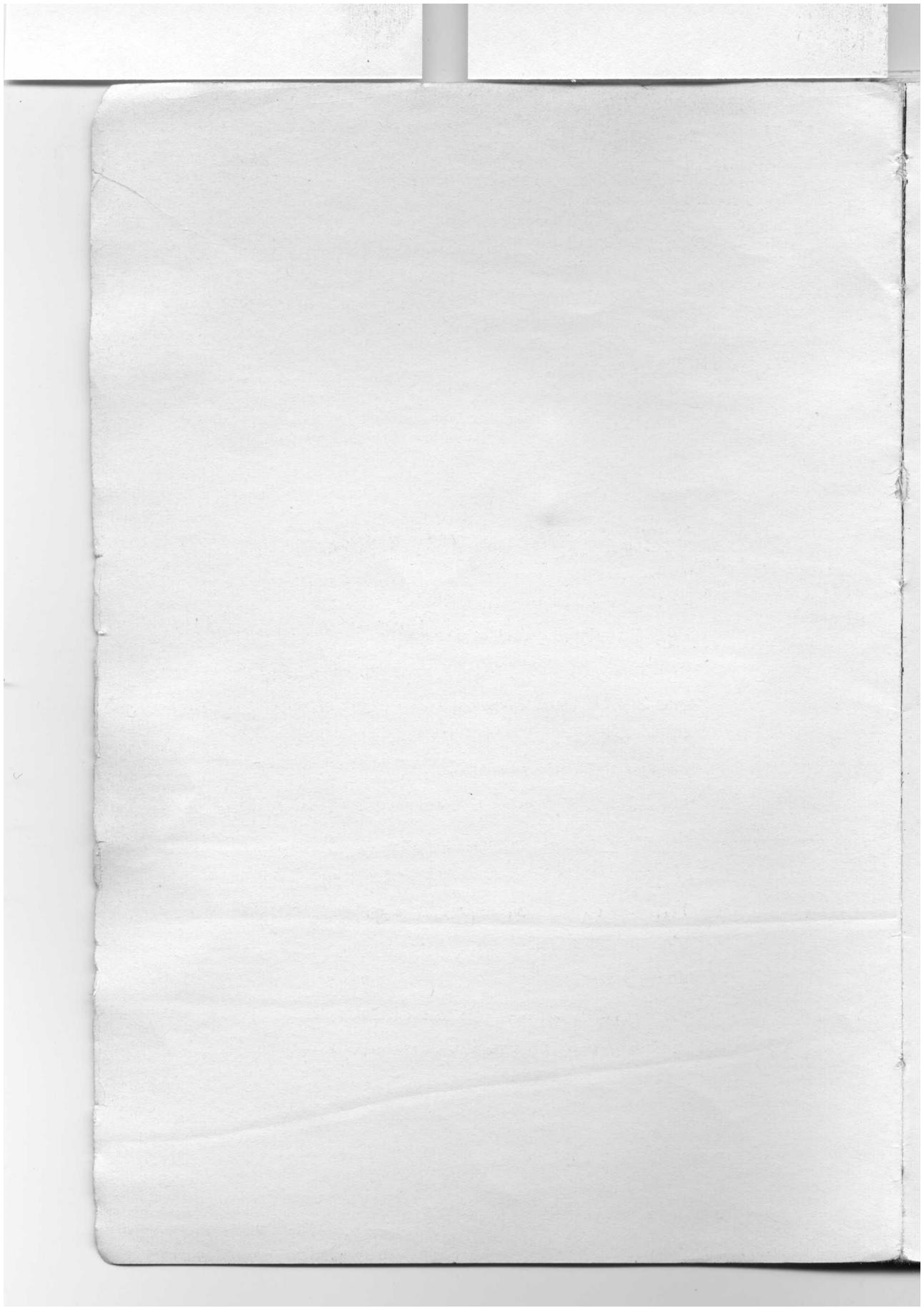 BORLETTI 1100 ZIGZAG - BORLETTI - 1