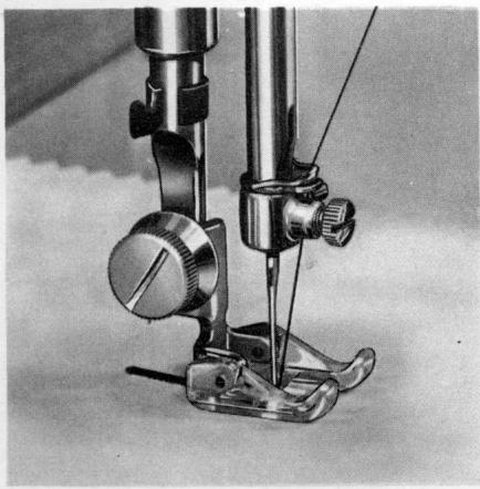 BORLETTI 1100 ZIGZAG - Boutonnière - 2
