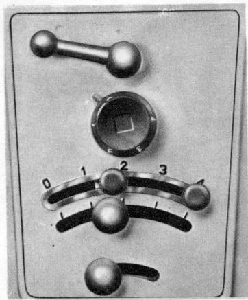 BORLETTI 1100 ZIGZAG - Boutonnière - 1