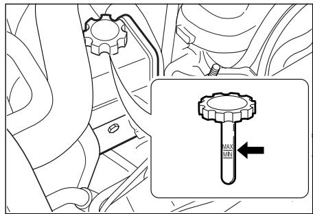 SSANGYONG REXTON - LIQUIDE DE LA DIRECTION ASSISTEE - 1