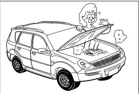 SSANGYONG REXTON - DANGER - 1