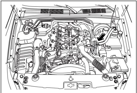 SSANGYONG REXTON - DANGER - 1