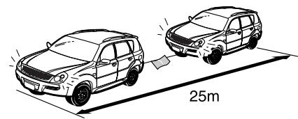 SSANGYONG REXTON - DANGER - 1