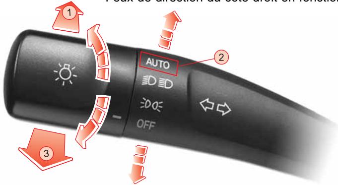 SSANGYONG STAVIC - ATTENTION - 1