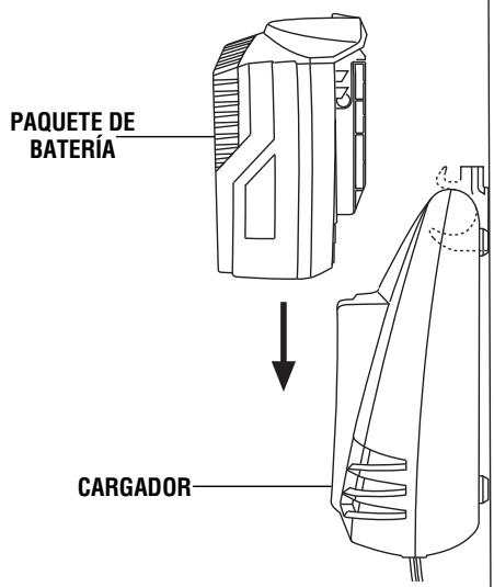 SKIL 2898 - (modelos SC118 y SC118B solamente) - 4
