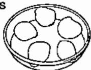 ZANKER MCV963COMBI - Disposition des aliments - 1