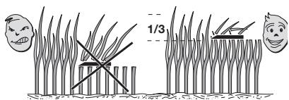 STIGA SC8414B,  SC9812B,  SC10216B - QUELQUES CONSEILS POUR GARDER UNE PELOUSE   AYANT UN BEL ASPECT - 2