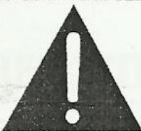 DIGITECH 2120 ARTIST - Caution - 1
