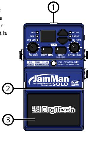 DIGITECH JAMMAN SOLO - Utilisation des cartes mémoire sd/sdhc - 1
