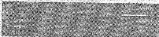 SABA SCTN08 - Ruband'information - 1