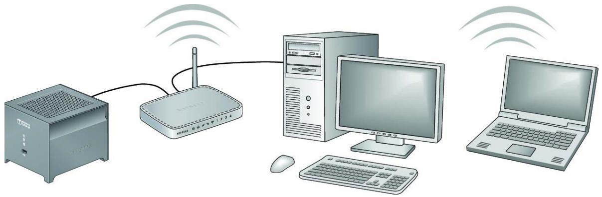 NETGEAR MS2000 - WARNING! - 1